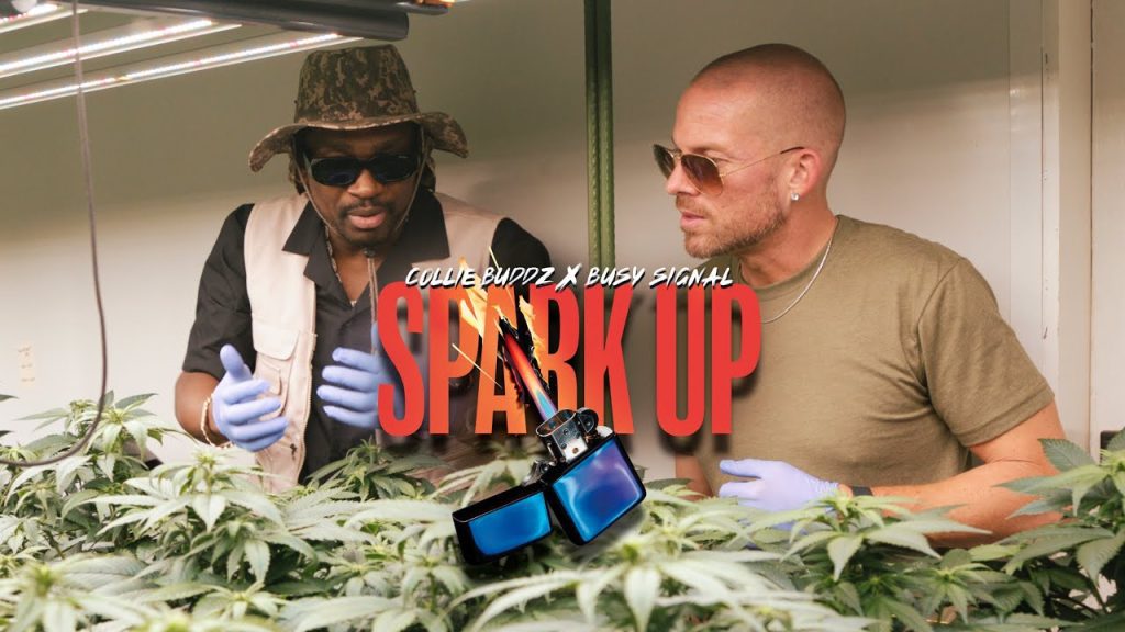 7/25/25 O&A NYC IRIE FRIDAY: Collie Buddz x Busy Signal - Spark Up